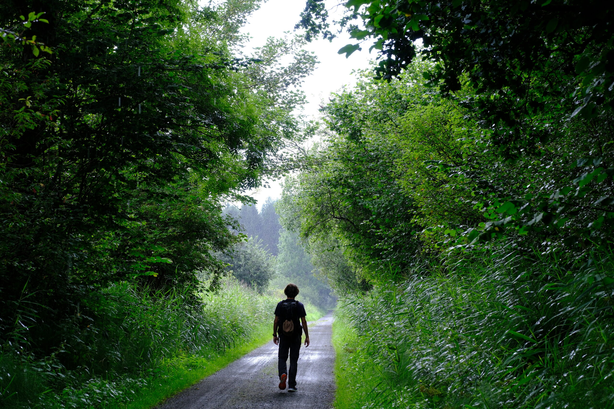 bindeballestien-i-vejle-16