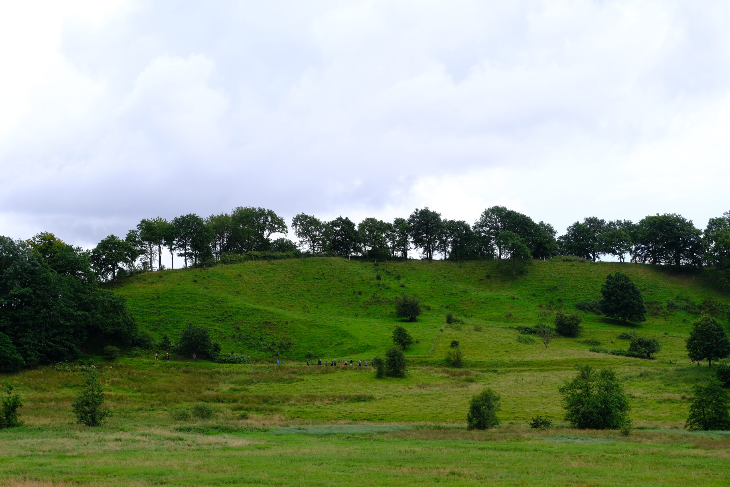 bindeballestien-i-vejle-runkenbjerg-ryggen