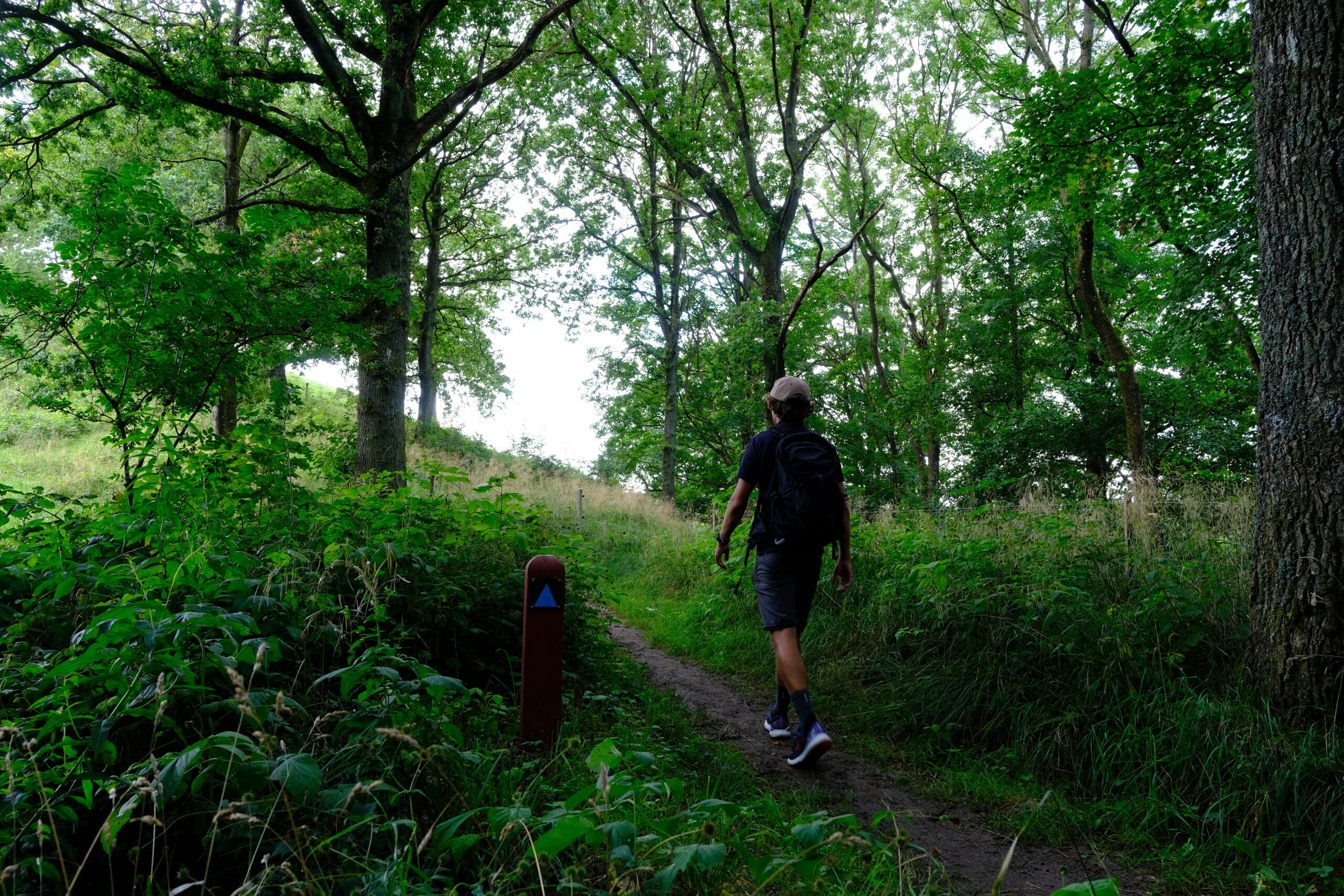 christian-vandrer-blaa-rute-i-runkenbjerg-01