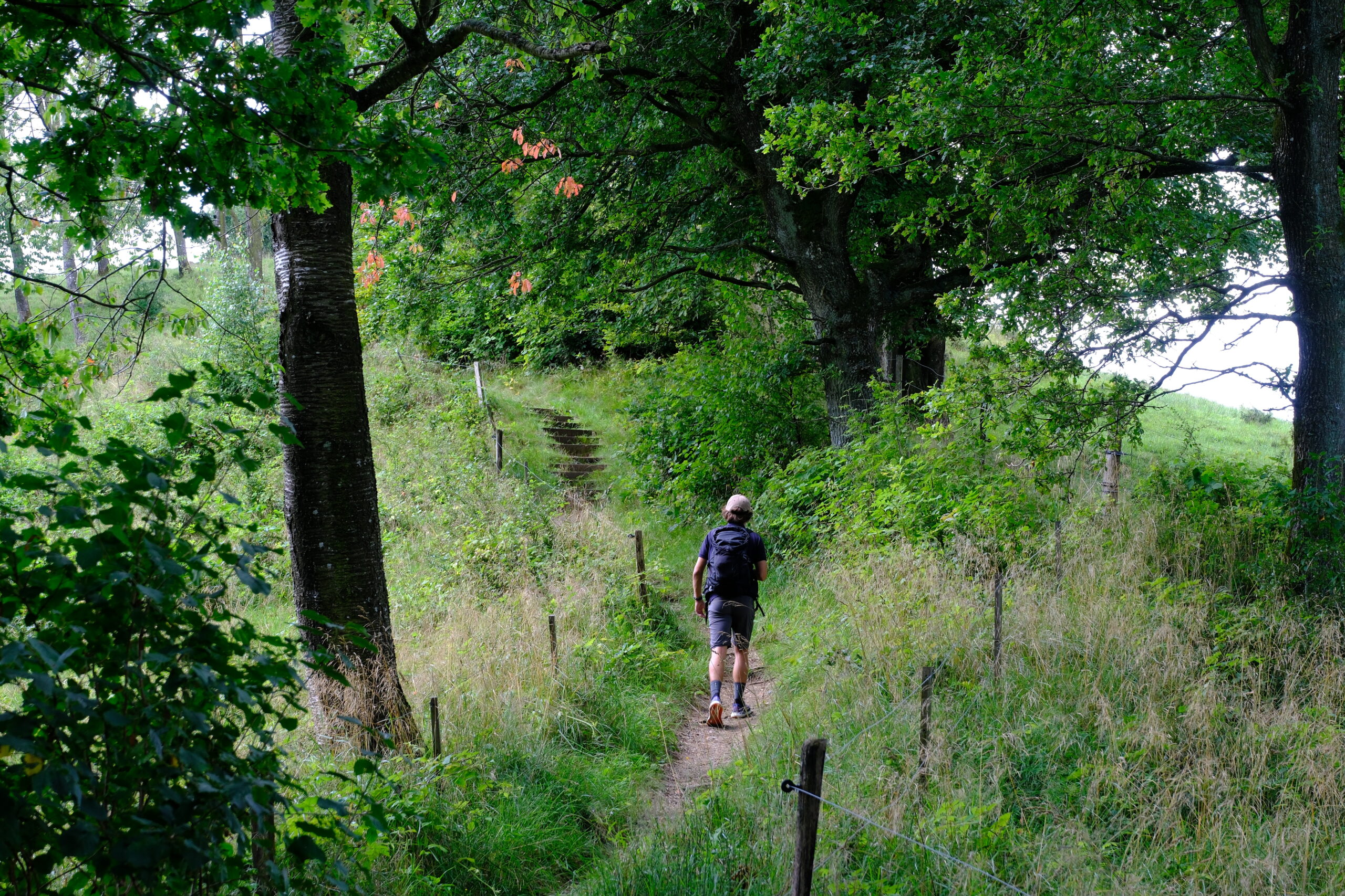 christian-vandrer-runkenbjerg-blaa-rute-i-vejle