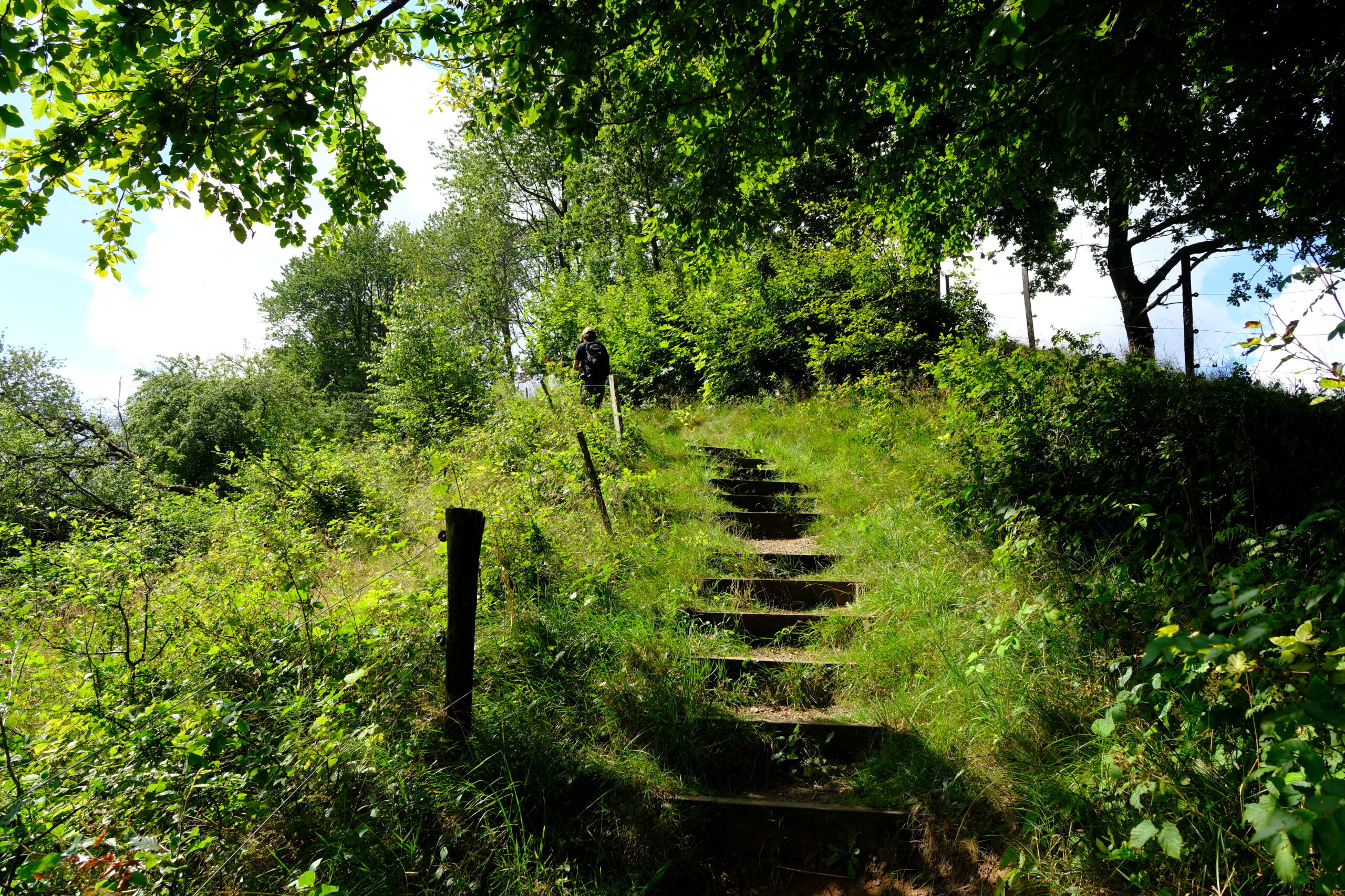 runkenbjerg-blaa-rute-trapper-til-ryggen