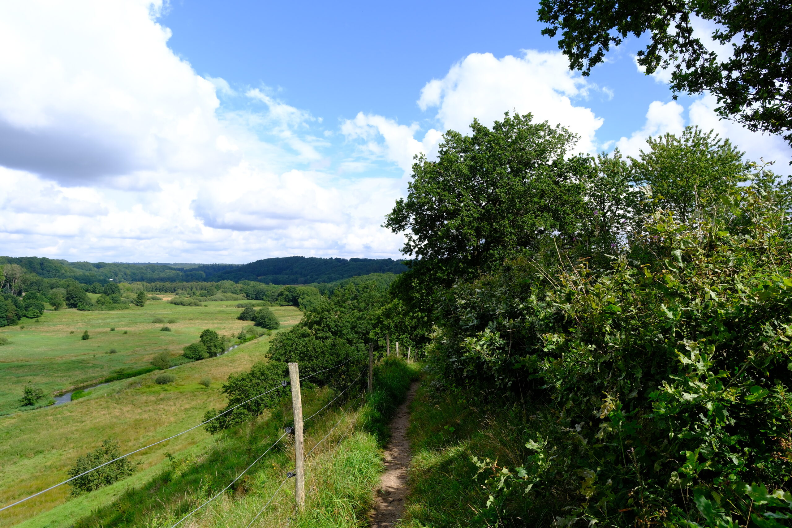 runkenbjerg-i-vejle-blaa-rute-udsigt