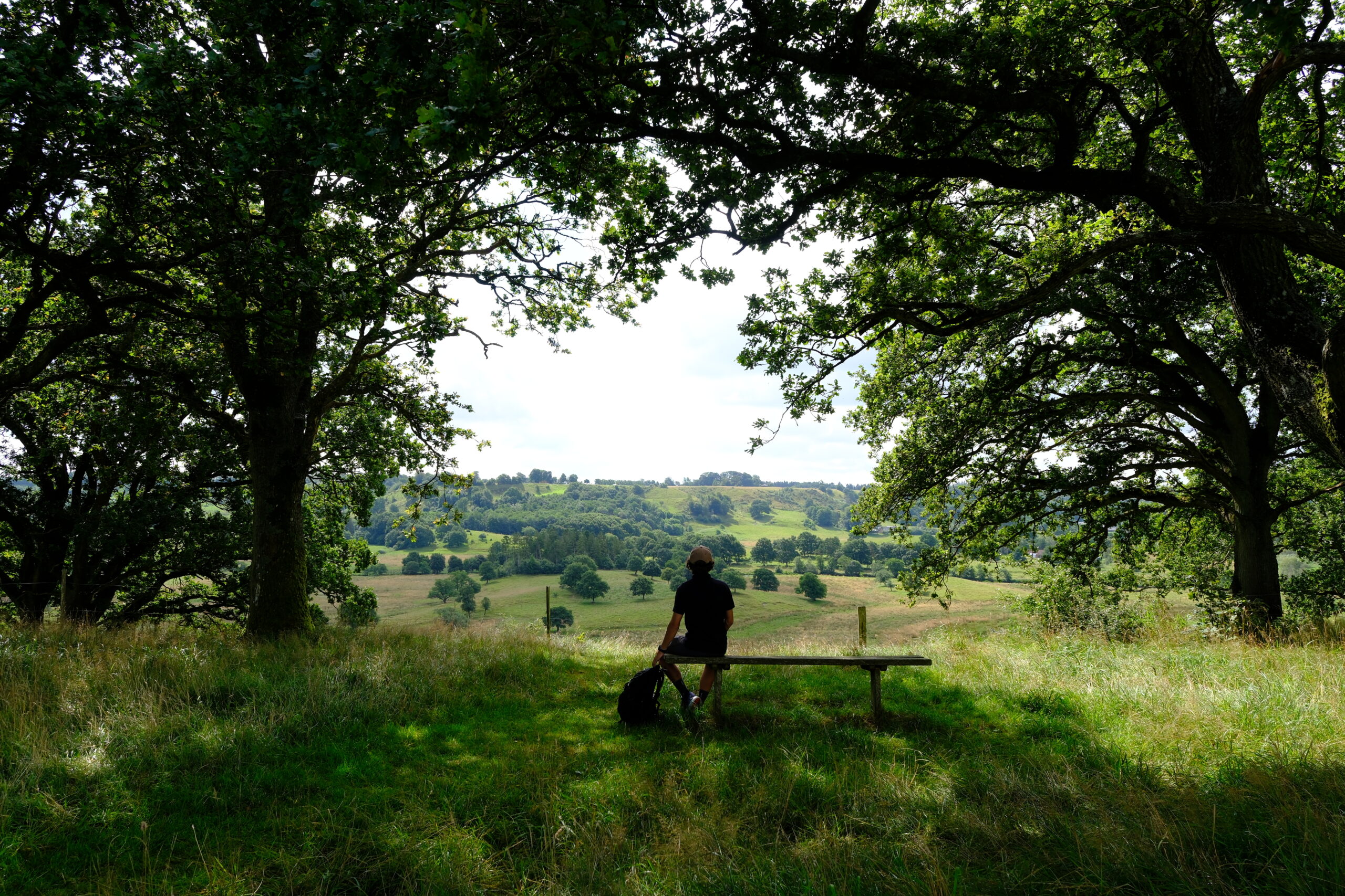runkenbjerg-baenke-og-udsigt-04