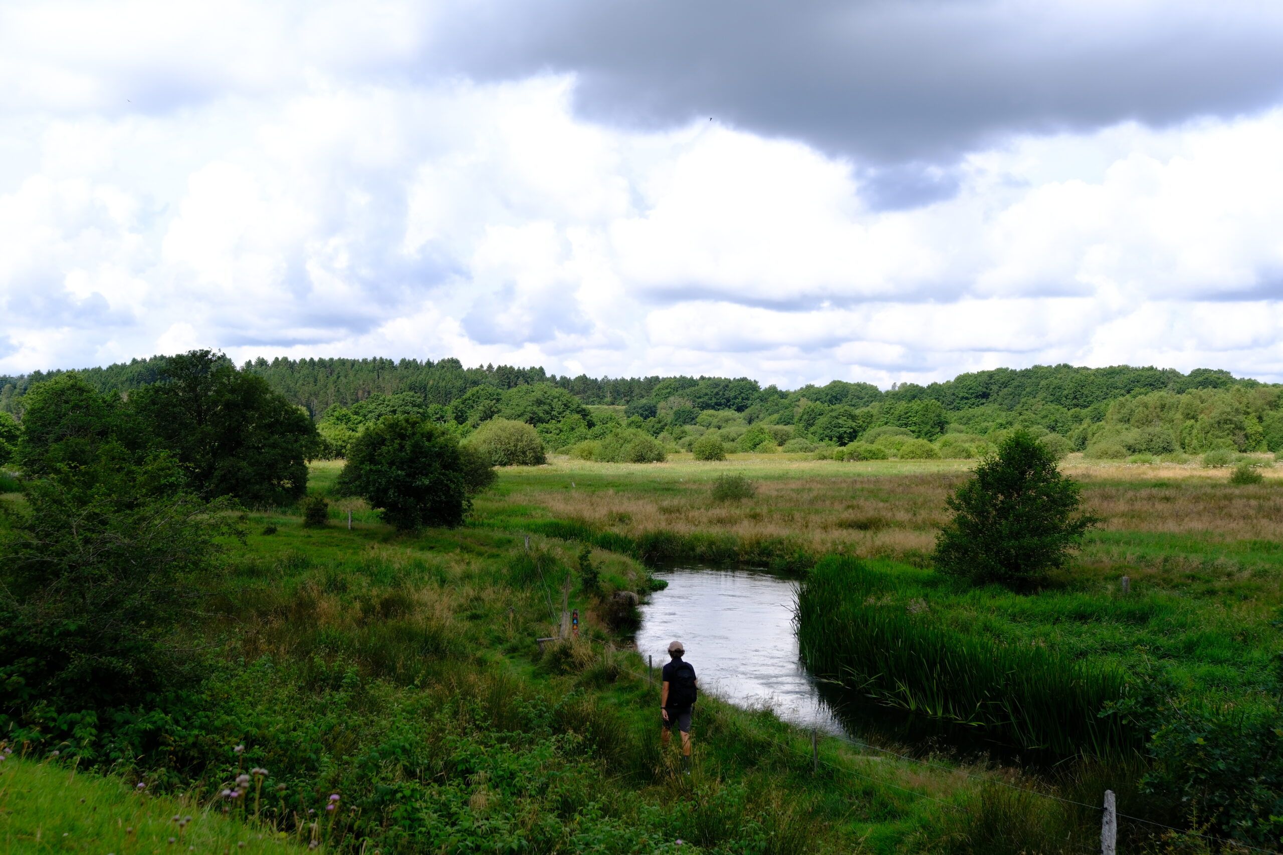 runkenbjerg-blaa-rute-vandrerute-vejle-26