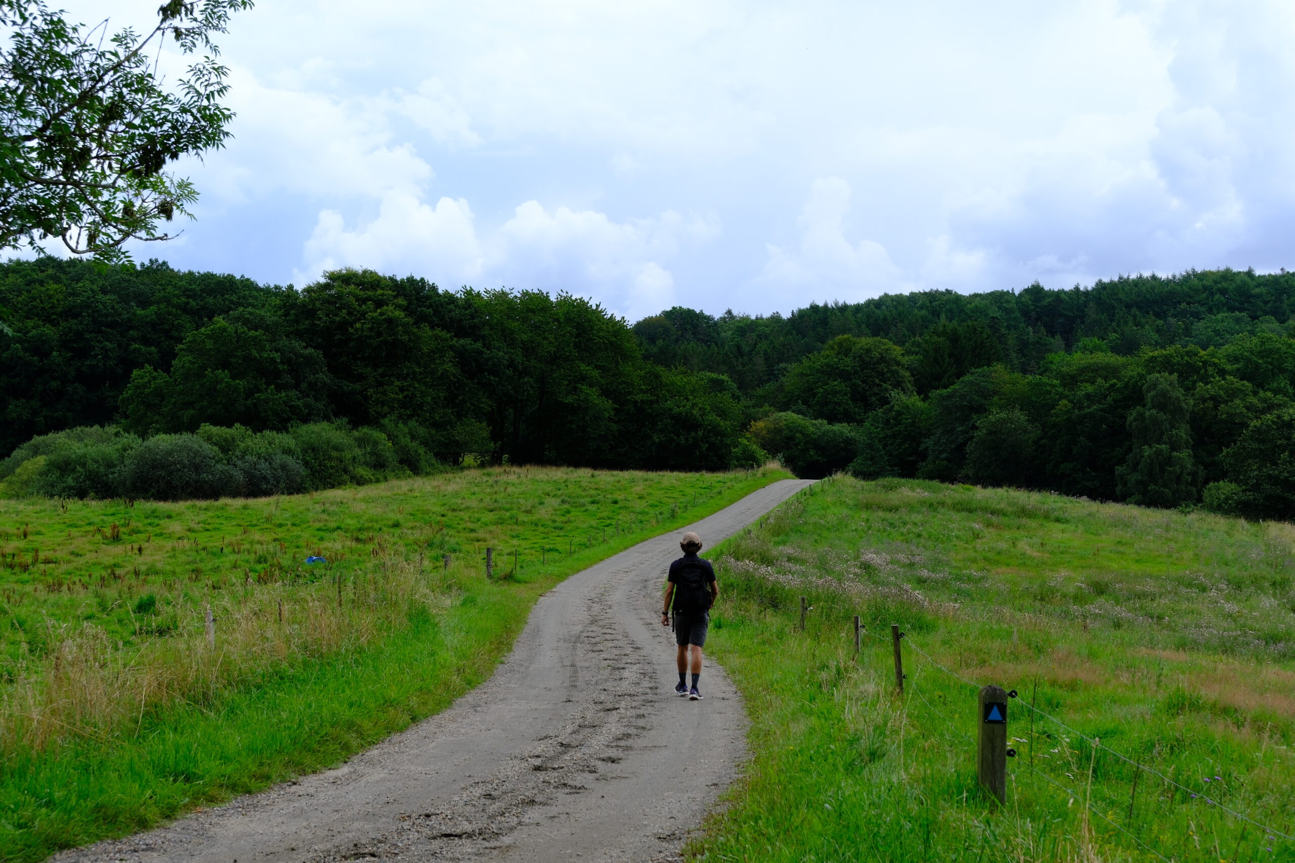 runkenbjerg-blaa-rute-vandrerute-vejle-40