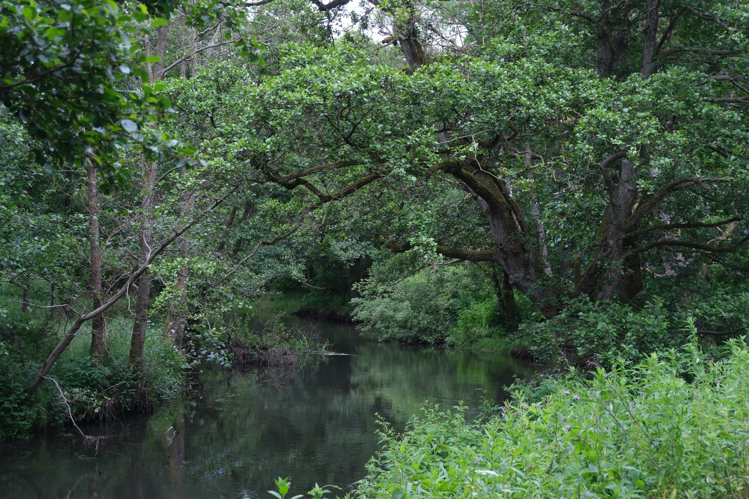 Haervejen-vejle-vandrerute-10