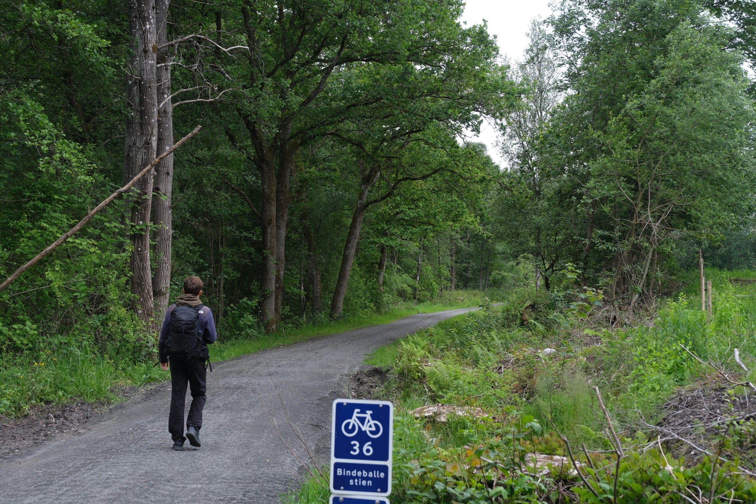 Haervejen-vejle-vandrerute-22