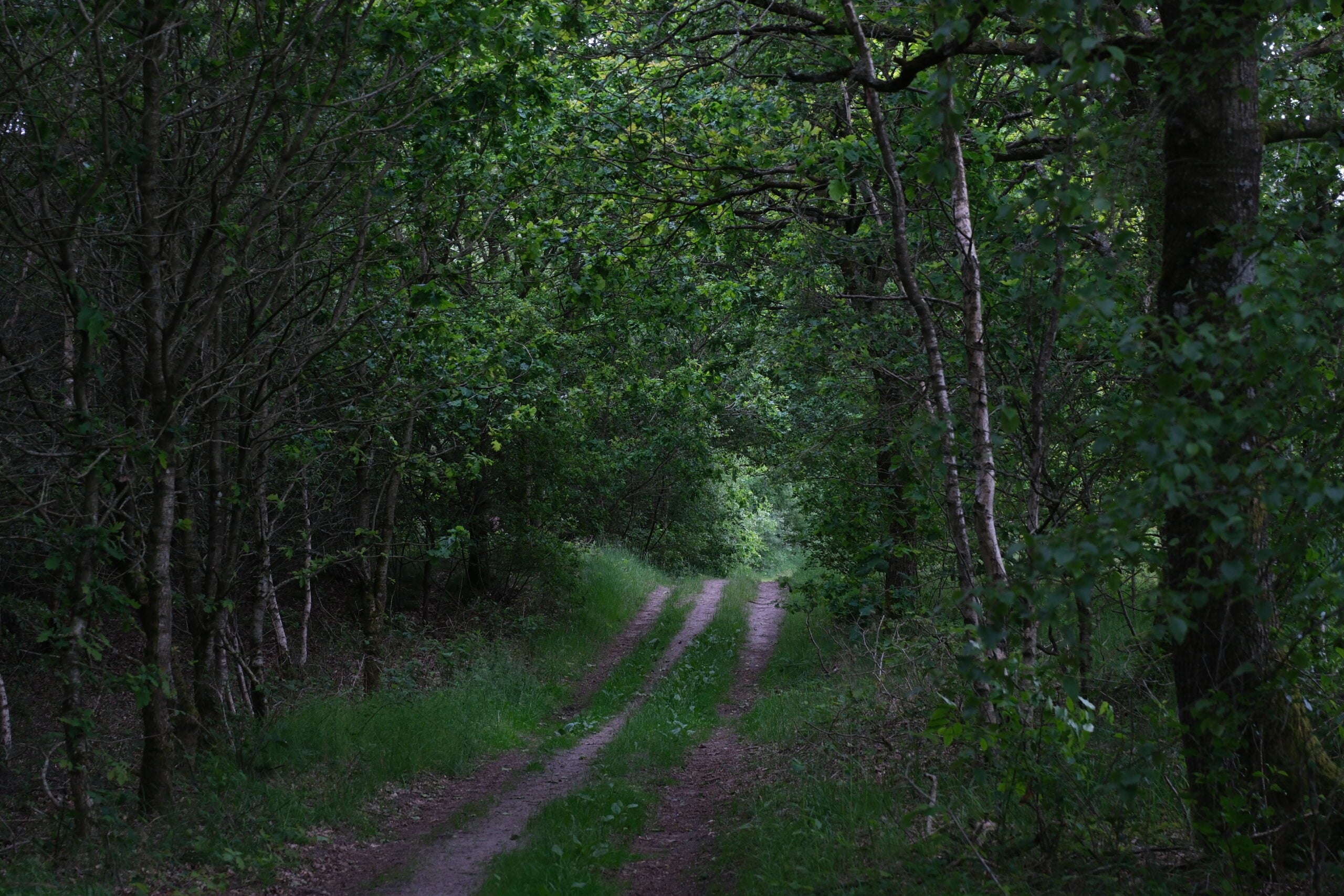 Haervejen-vejle-vandrerute-28