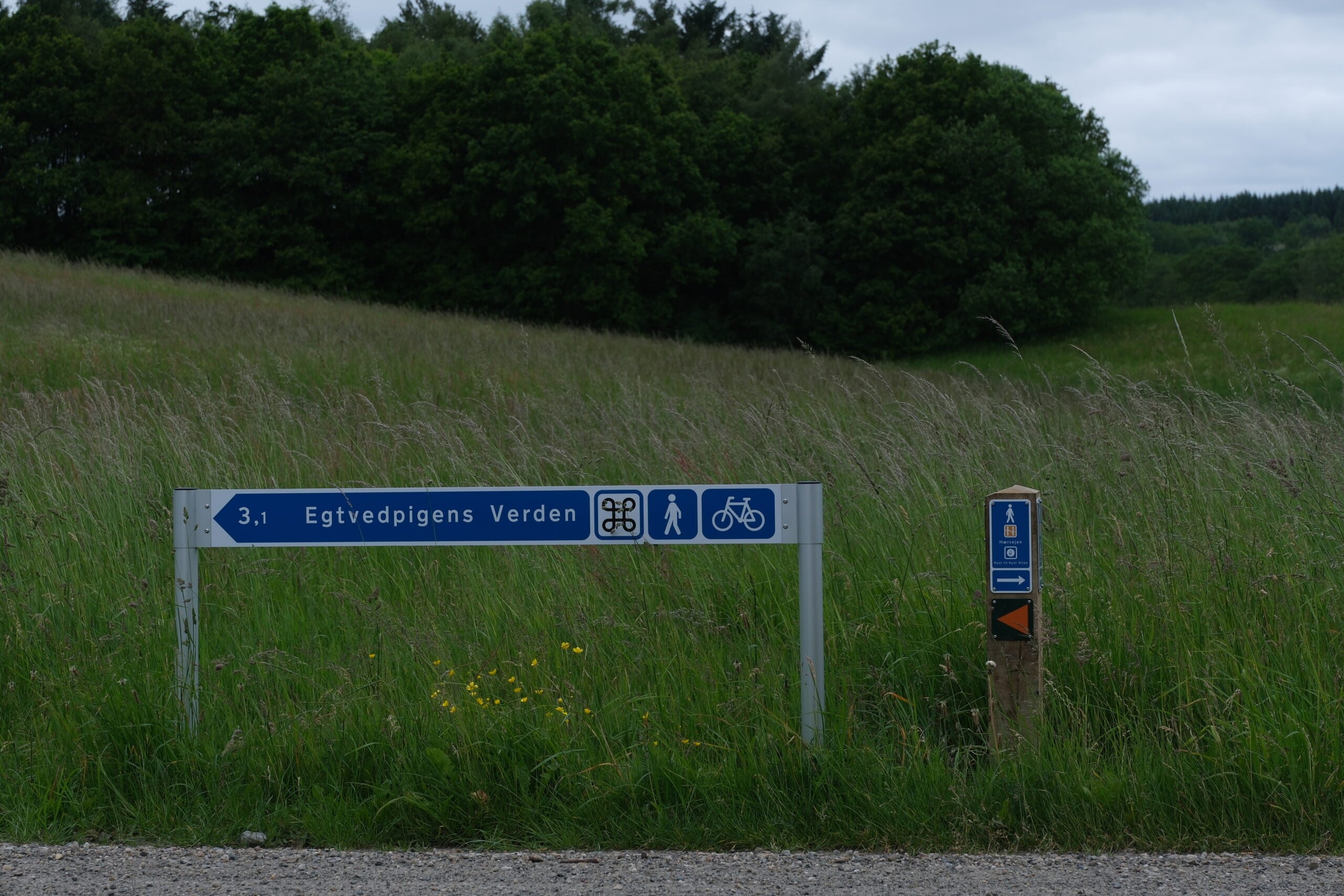 Haervejen-vejle-vandrerute-31