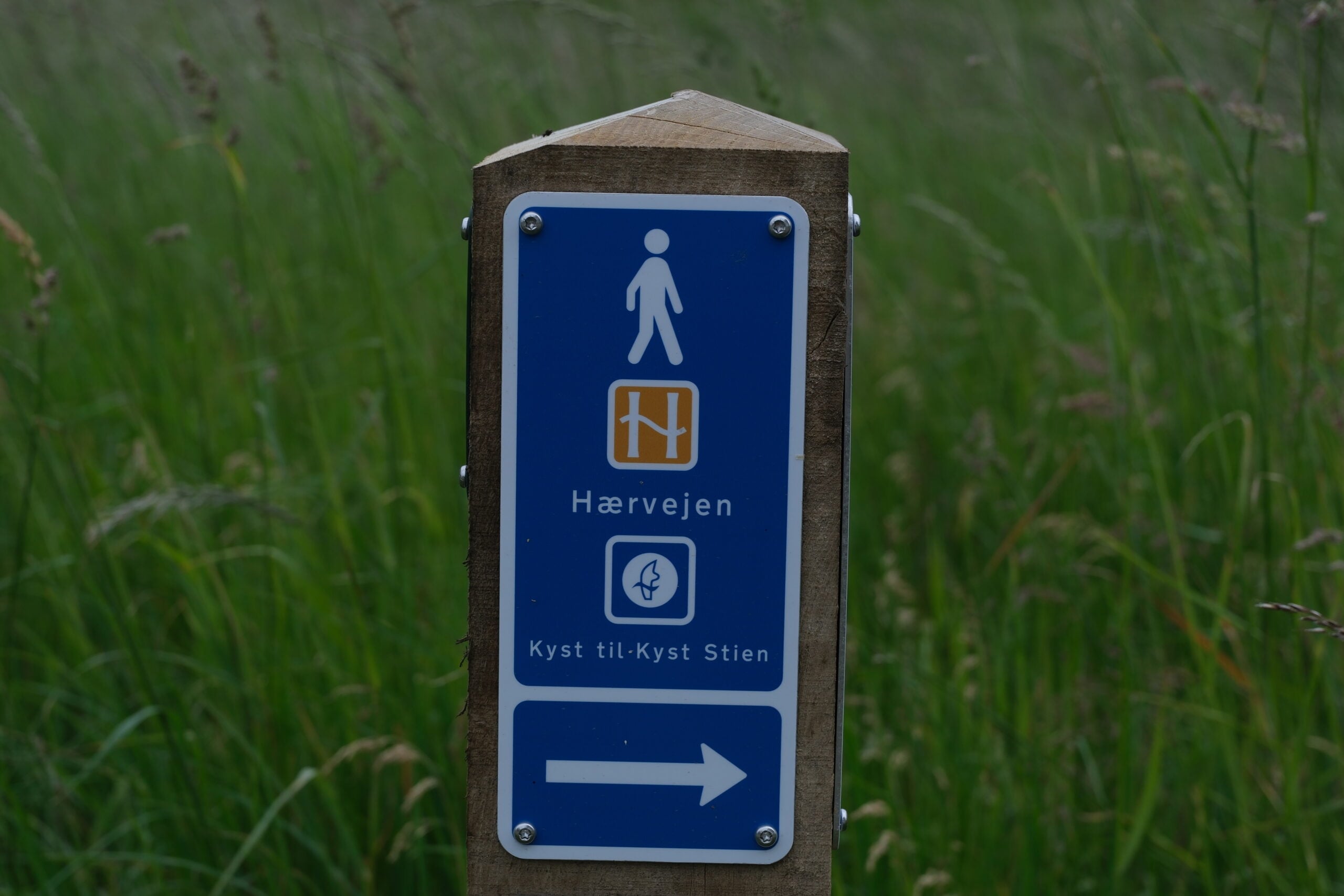 Haervejen-vejle-vandrerute-32