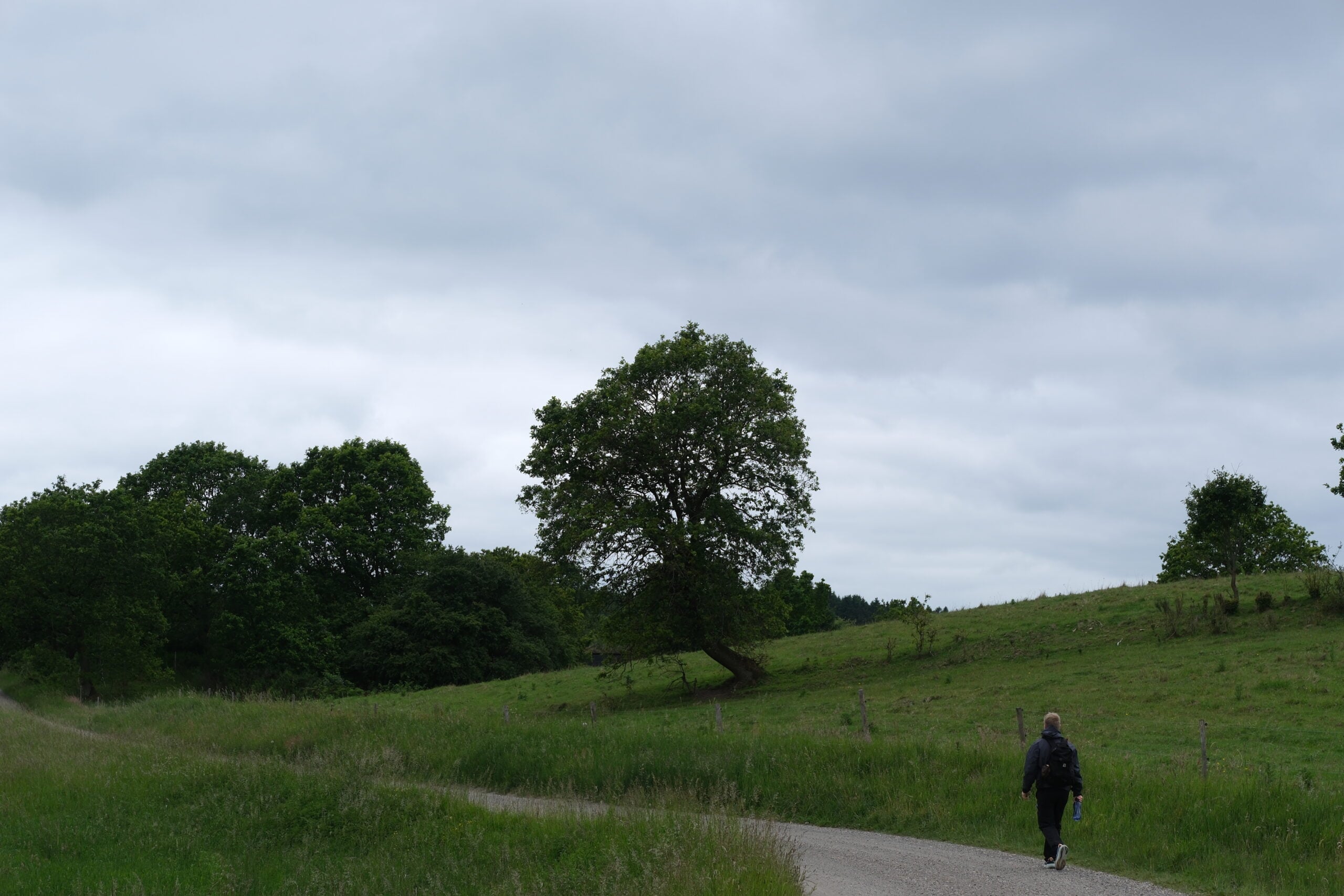 Haervejen-vejle-vandrerute-35